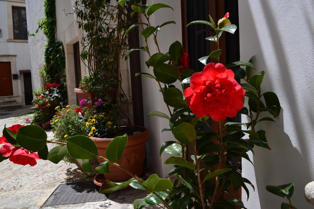 Santo Stefano Bed & Breakfast Putignano Exterior photo